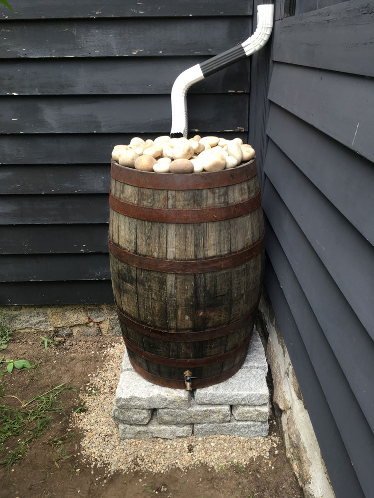 Rainwater Harvesting: oak rain barrel