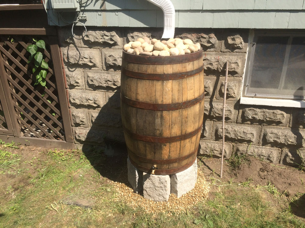oak rain barrel