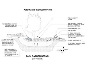 Rainwater Harvesting & Drainage Solutions - Araneo Landworks